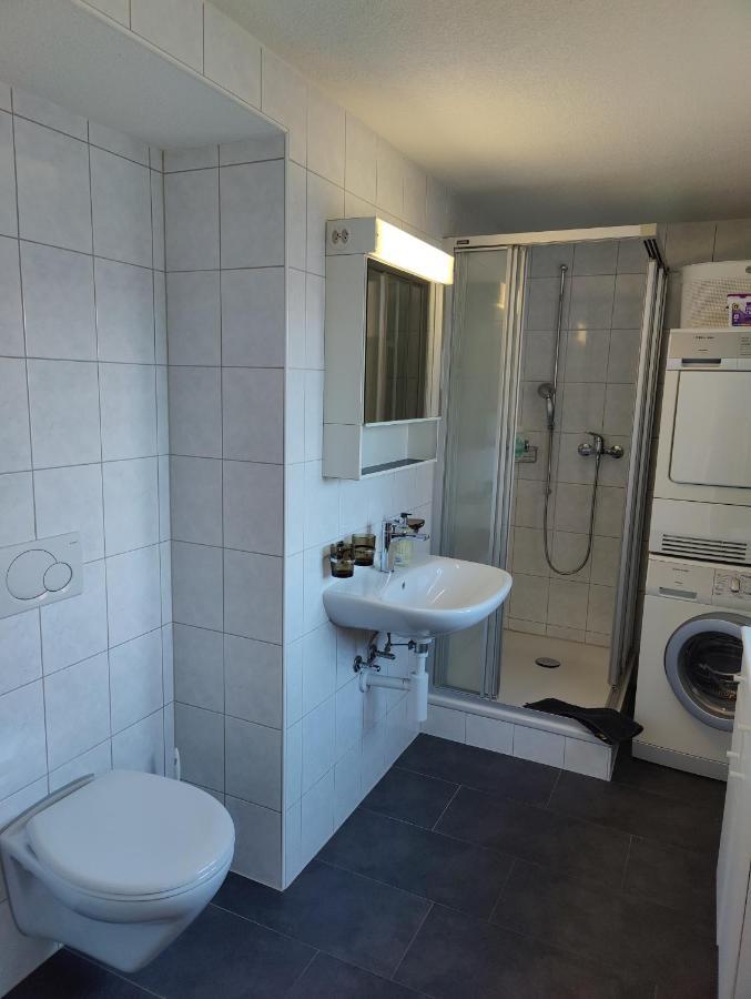 Hubel Apartment 14 Wilderswil Dış mekan fotoğraf