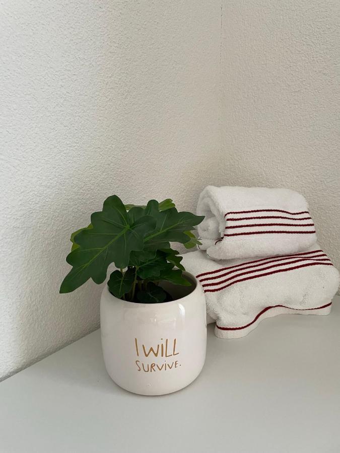 Hubel Apartment 14 Wilderswil Dış mekan fotoğraf