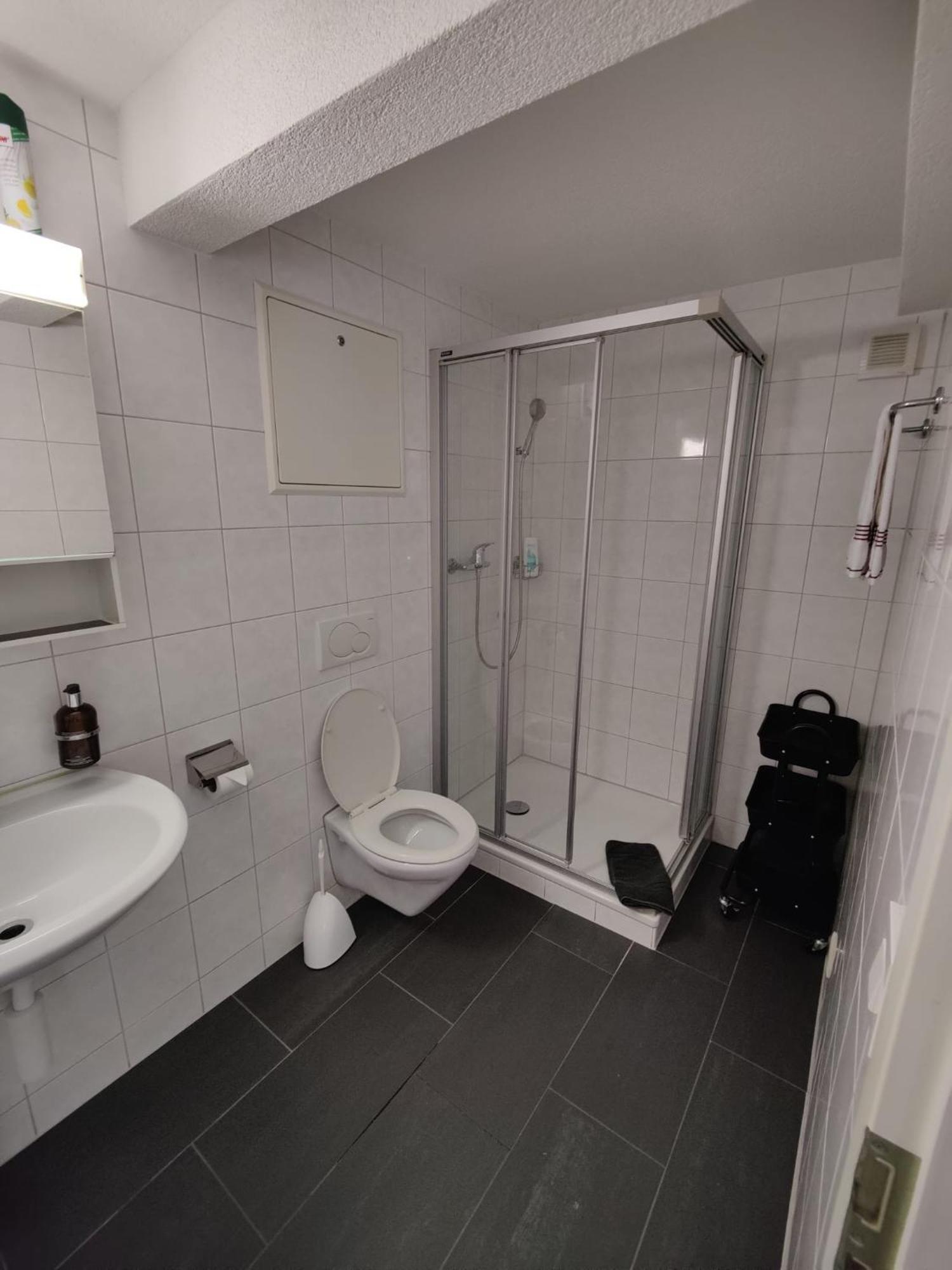 Hubel Apartment 14 Wilderswil Oda fotoğraf